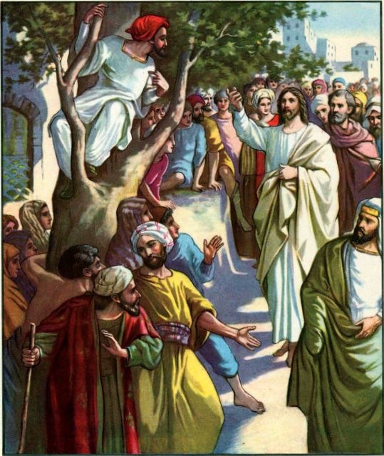 zaccheus6.jpg