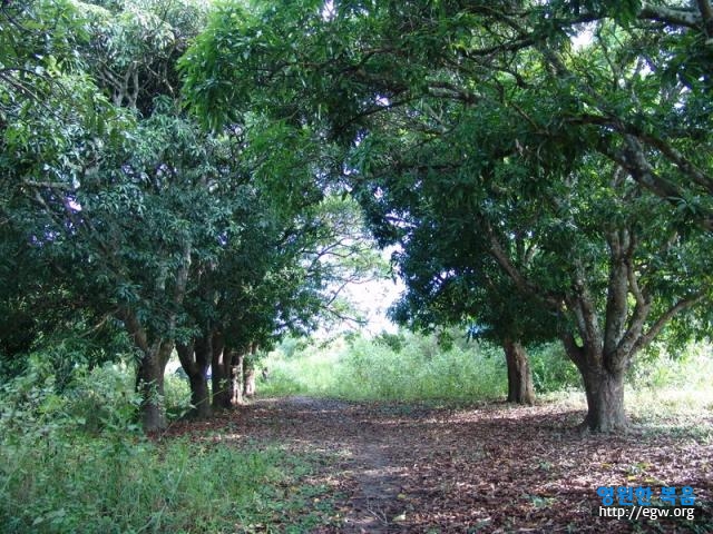 15.아름다운 환경 Virgin nature of 300ha.jpg-1.JPG