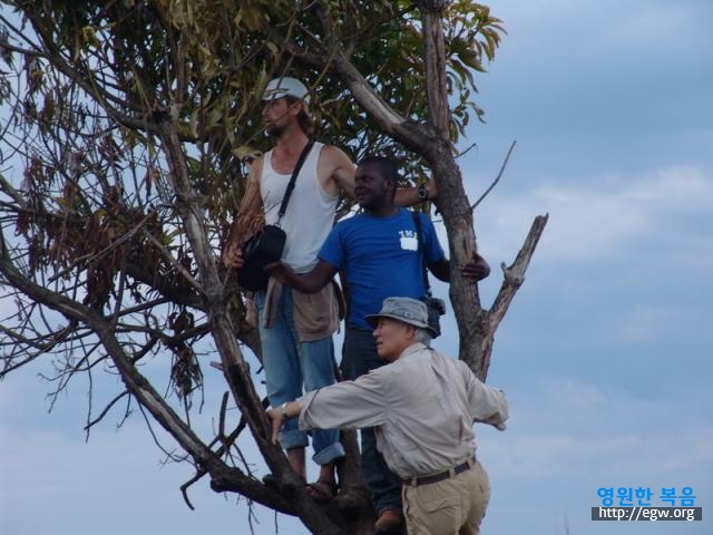 16. (2)땅끝을보려고 나무위로 To see ends of earth on a tree.jpg-1.JPG
