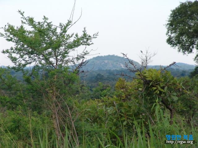 17. 다른 방향 Different direction view.jpg-1.JPG