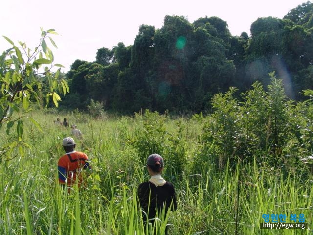 20.갈대와 같은 풀을 제치고 Through weed like grass.jpg-1.JPG