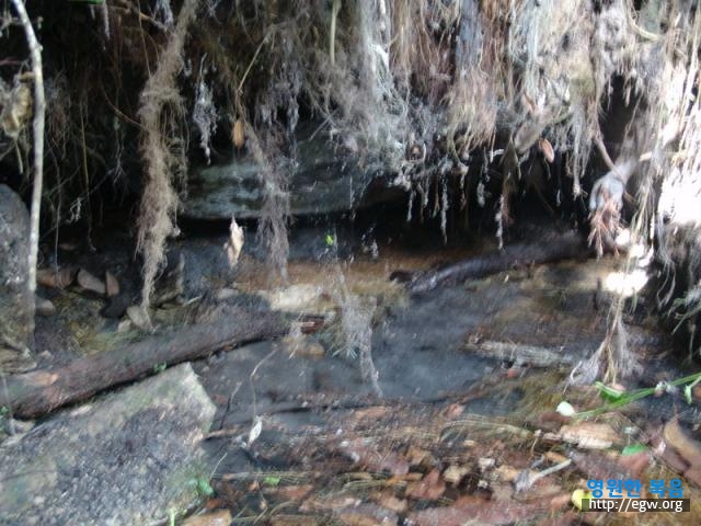 22.석수 근원지 도달 Finally, source of rock water.jpg-1.JPG