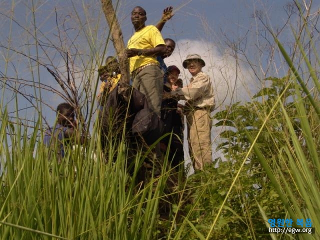 26.정상의 또 다른 정상으로 Top of tree on peak.jpg-1.JPG