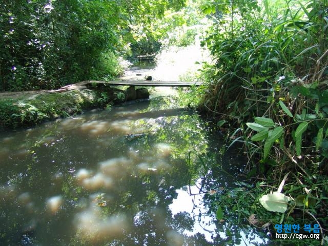 29.농사물 댈 작은강 Small river for agri-water.jpg-1.JPG