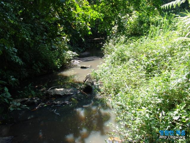 30.4철 흐르는 물 four season continuous water.jpg-1.JPG