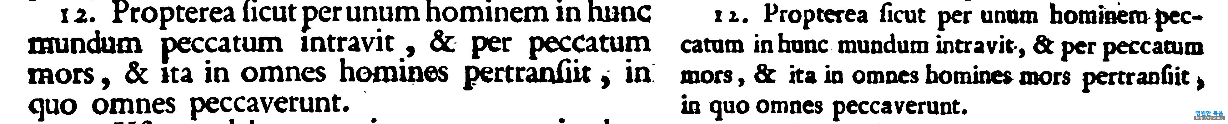 vetus and vulgate wrongly translating Romans 5 verse 12 originating wrong theology of peccatum originale.png.jpg