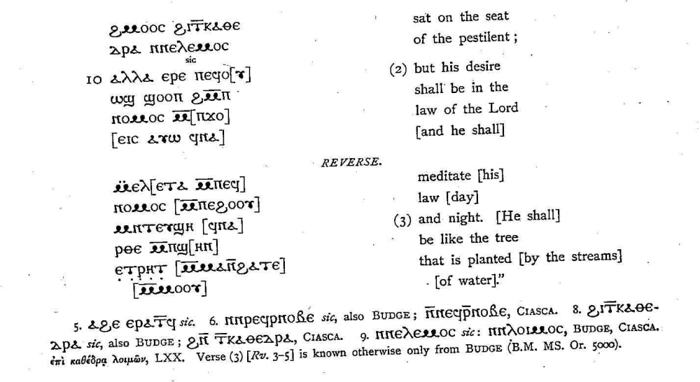 Coptic of Psalm 1 Van Wyk Notes (2).jpg
