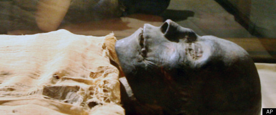 hatshepsut mummy Amr Nabil photo.jpg